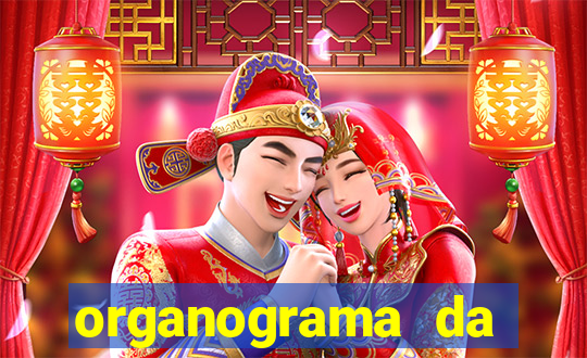 organograma da cacau show